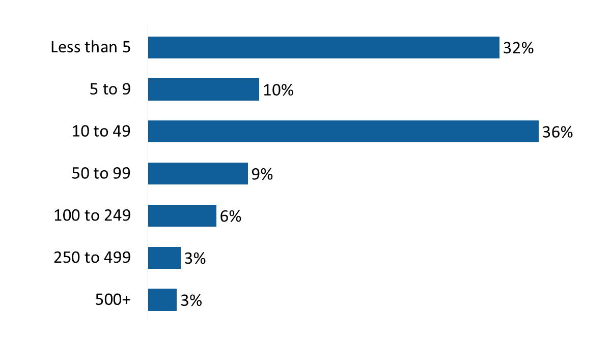 Figure 2: Size of Company – Employees