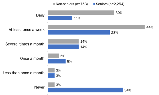 Figure 19: Frequency of Online Banking